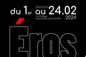 Exposition EROS, Février, Galerie d’Art Wilson Blois