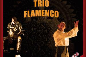 Trio Flamenco