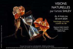 photo Visions Naturelles par l'artiste Sailev