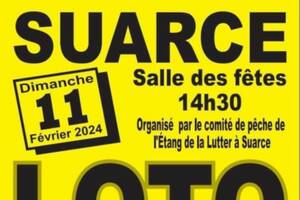 Loto Bingo à la Salle des Fêtes - Mairie de Saint Puy