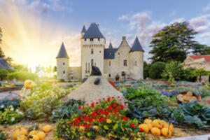 photo La Fête de la Citrouille et de l'Automne au Château du Rivau (37)