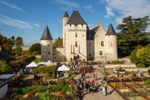 photo La Fête de la Citrouille et de l'Automne au Château du Rivau (37)