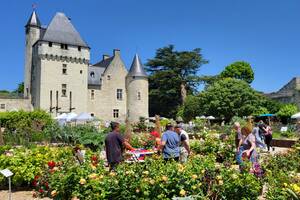 Fête des Roses au Château du Rivau - RDV aux Jardins (37)