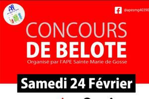 Concours de Belote