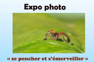 photo expo photo