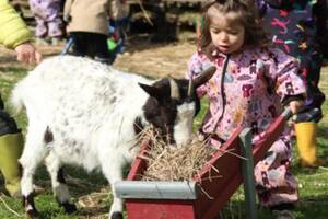 Visite de la ferme pédagogique - atelier nourrissage des animaux