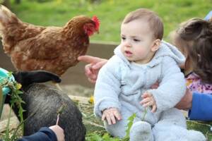 Atelier bébés fermiers