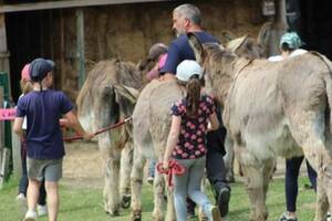 Stage ado apprentis soigneurs