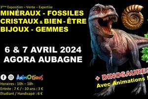 3ème Salon Minéraux Fossiles Cristaux & Bien-Être Bijoux et Gemmes  + Exposition de Dinosaures