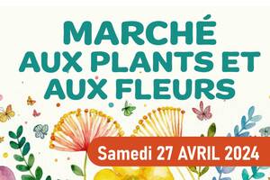 photo Marché aux plants et aux fleurs