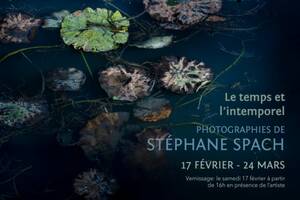 Photographies de Stéphane Spach : Le temps et l'intemporel