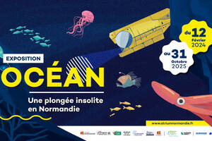 L'exposition OCÉAN, une plongée insolite en Normandie