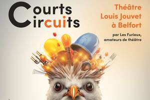Courts-Circuits