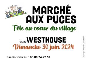 MARCHE AUX PUCES 