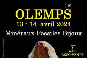 7e SALON MINERAUX FOSSILES BIJOUX