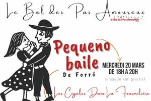 Pequeno baile De Forró