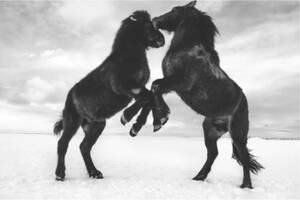 Un week-end pour célébrer l’été Íslandais // Vernissage de l'exposition du photographe Olivier Joly et dédicace