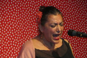 photo Concert flamenco avec Carmen de la Jara