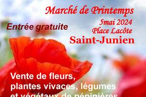 photo MARCHE DE PRINTEMPS