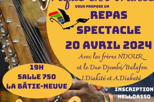 photo Repas spectacle AFRICAIN