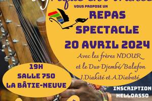 Repas spectacle AFRICAIN