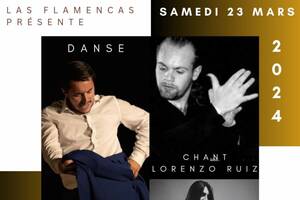 Spectacle Flamenco Traditionnel