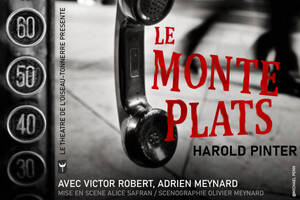 Spectacle Le Monte-Plats de Harold Pinter