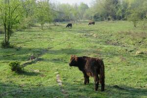 Découverte des ballastières à Aire sur la Lys