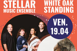photo White oak standing // Stellar music ensemble