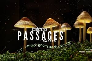 Passages sacrés, les champignons médicinaux