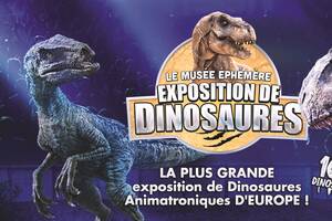 Dinosaures: Moulins accueille le Musée Éphémère®