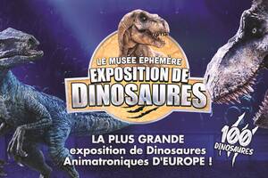 photo Dinosaures: Metz accueille le Musée Éphémère®