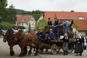 Fête des vendanges