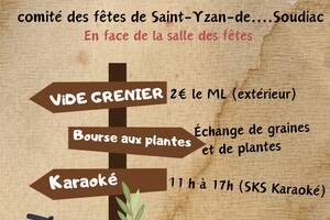 Vide grenier Karaoké et bourse aux plantes