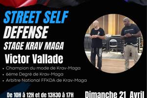 photo stage de Krav Maga avec Victor Vallade