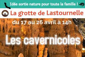 photo Les cavernicoles de la Grotte de Lastournelle