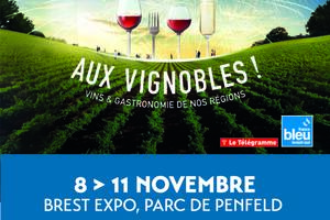 photo Salon Aux Vignobles ! de BREST