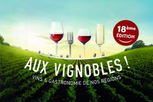 photo Salon Aux Vignobles ! au MANS