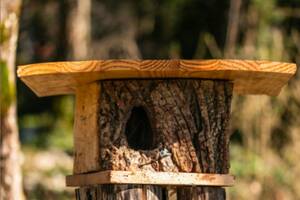 Atelier Cabane à oiseaux