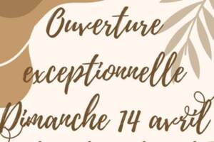 Ouverture exceptionnelle de La grange aux livres / Bouquinerie