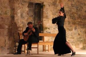 Spectacle flamenco et guitare