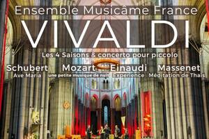 photo Concert à Lille : Les 4 Saisons de Vivaldi, Experience d’Einaudi, Une petite musique de nuit de Mozart, Méditation de Thaïs...