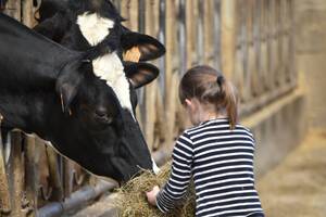 Le projet Culture(s) à la ferme Bellevue