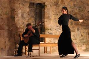 Spectacle flamenco et guitare