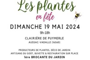 Les plantes en fête