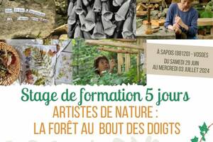 Stage de formation: artistes de nature, la forêt au bout des doigts