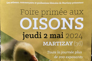 Foire aux oisons