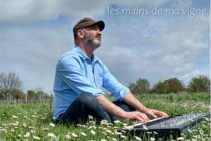 photo Les Mains de ma Vigne