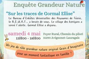 Les Journées Féeriks