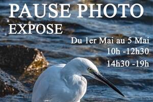 photo Exposition PHOTOS